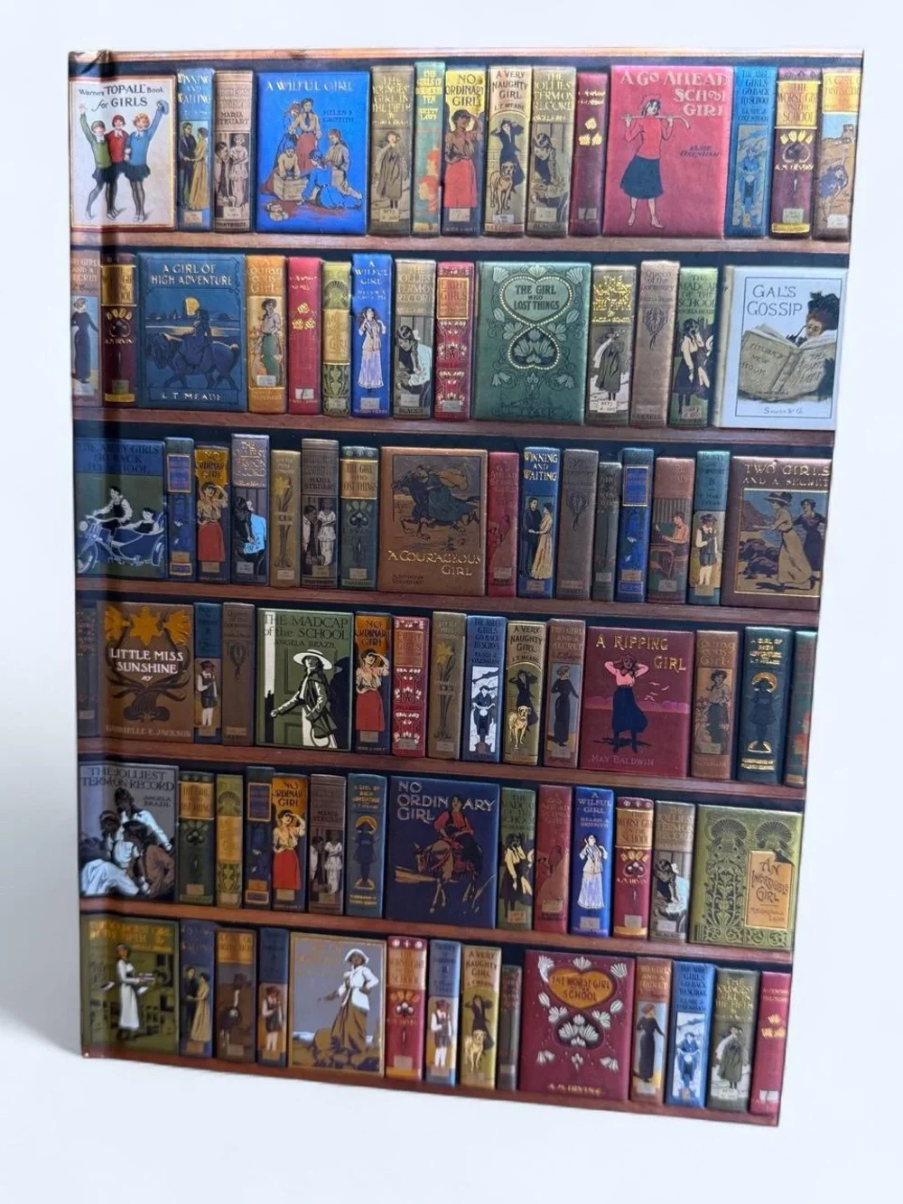 Journal Blank Lined Decorative Girlhoodcore Art Cover